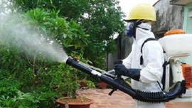 Nguy cơ bùng dịch sốt xuất huyết cao, Thủ tướng chỉ đạo loạt biện pháp phòng, chống