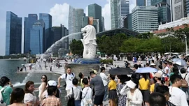 Dân số Singapore đạt kỷ lục nhờ tăng trưởng nhóm nhập cư