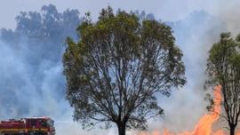 Australia đối mặt với nguy cơ cháy rừng nghiêm trọng
