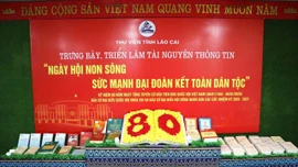 Thư viện tỉnh Lào Cai trưng bày ấn phẩm kỷ niệm 80 năm Ngày Tổng tuyển cử đầu tiên bầu Quốc hội Việt Nam
