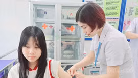Lục Yên tăng cường phòng, chống bệnh dại