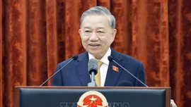 Thư của Tổng Bí thư, Chủ tịch nước Tô Lâm nhân kỷ niệm 80 năm Ngày truyền thống phòng, chống thiên tai Việt Nam
