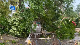 Nữ công nhân môi trường quên mình cứu người trong dông lốc