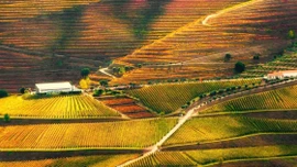 Báo Anh chọn hai điểm đến ở Việt Nam vào top đẹp nhất thế giới