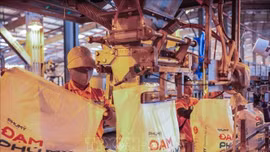 Tìm giải pháp ổn định thị trường phân bón trong nước