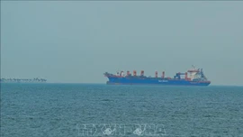 Iran cho phép một số tàu chở ngũ cốc đi qua Eo biển Hormuz