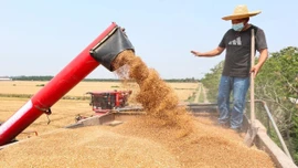 "Cánh đồng thông minh" đưa Trung Quốc tiến gần mục tiêu tự chủ lương thực