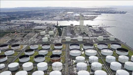 Châu Âu và Nhật Bản sẵn sàng phối hợp bình ổn giá năng lượng và bảo vệ "điểm nghẽn" dầu mỏ