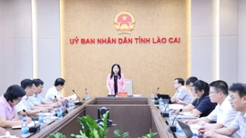 Phó Chủ tịch UBND tỉnh Vũ Thị Hiền Hạnh chủ trì họp triển khai nhiệm vụ về giáo dục và đào tạo