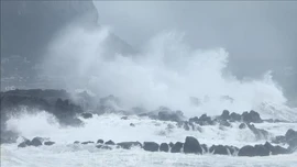 Australia ứng phó bão nhiệt đới Narelle tại vùng cực Bắc