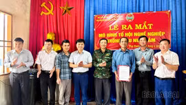 Ra mắt mô hình tổ hội nông dân nghề nghiệp trồng dâu nuôi tằm