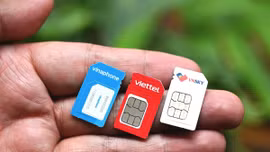 Ai cần xác nhận SIM chính chủ trên VNeID?