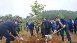 Lâm nghiệp Việt Nam: 80 năm giữ "lá phổi xanh" và tạo dựng thịnh vượng