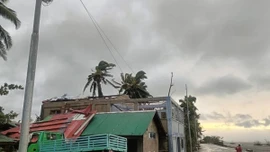 Bão Bualoi làm 19 người chết, ảnh hưởng đến hơn 2 triệu người ở Philippines