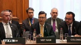 Việt Nam chính thức trở thành quốc gia liên kết của Cơ quan Năng lượng Quốc tế