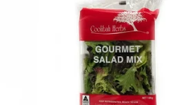 Singapore thu hồi salad nhập khẩu do phát hiện vi khuẩn vượt mức cho phép