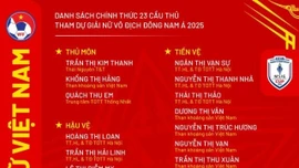 Lịch thi đấu đội tuyển nữ Việt Nam: Giá vé xem đại chiến Thái Lan, Indonesia cực rẻ