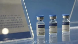 Chính phủ Mỹ hủy nhiều hợp đồng đầu tư phát triển vaccine