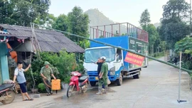 Đồng bộ giải pháp phòng, chống dịch tả lợn châu Phi