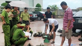 ASEAN siết chặt vòng vây tội phạm động vật hoang dã