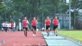 VFF chuẩn bị công tác y tế ra sao trong mỗi đợt tập huấn trọng tài?