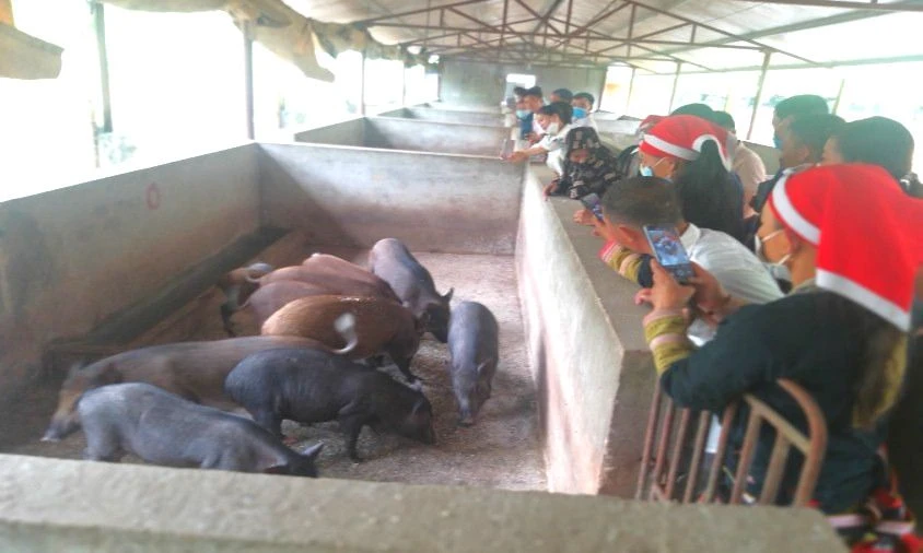 Tham quan nghiên cứu học tập trao đổi kinh nghiệm chăn nuôi.jpg