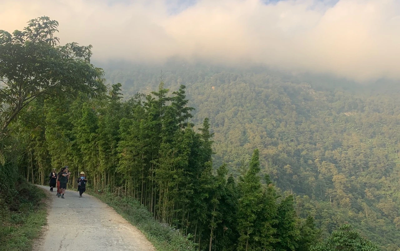 Đường qua Thào Hồng Dến đến Hầu Chư Ngài đẹp và được du khách nước ngoài lựa chọn để trekking.