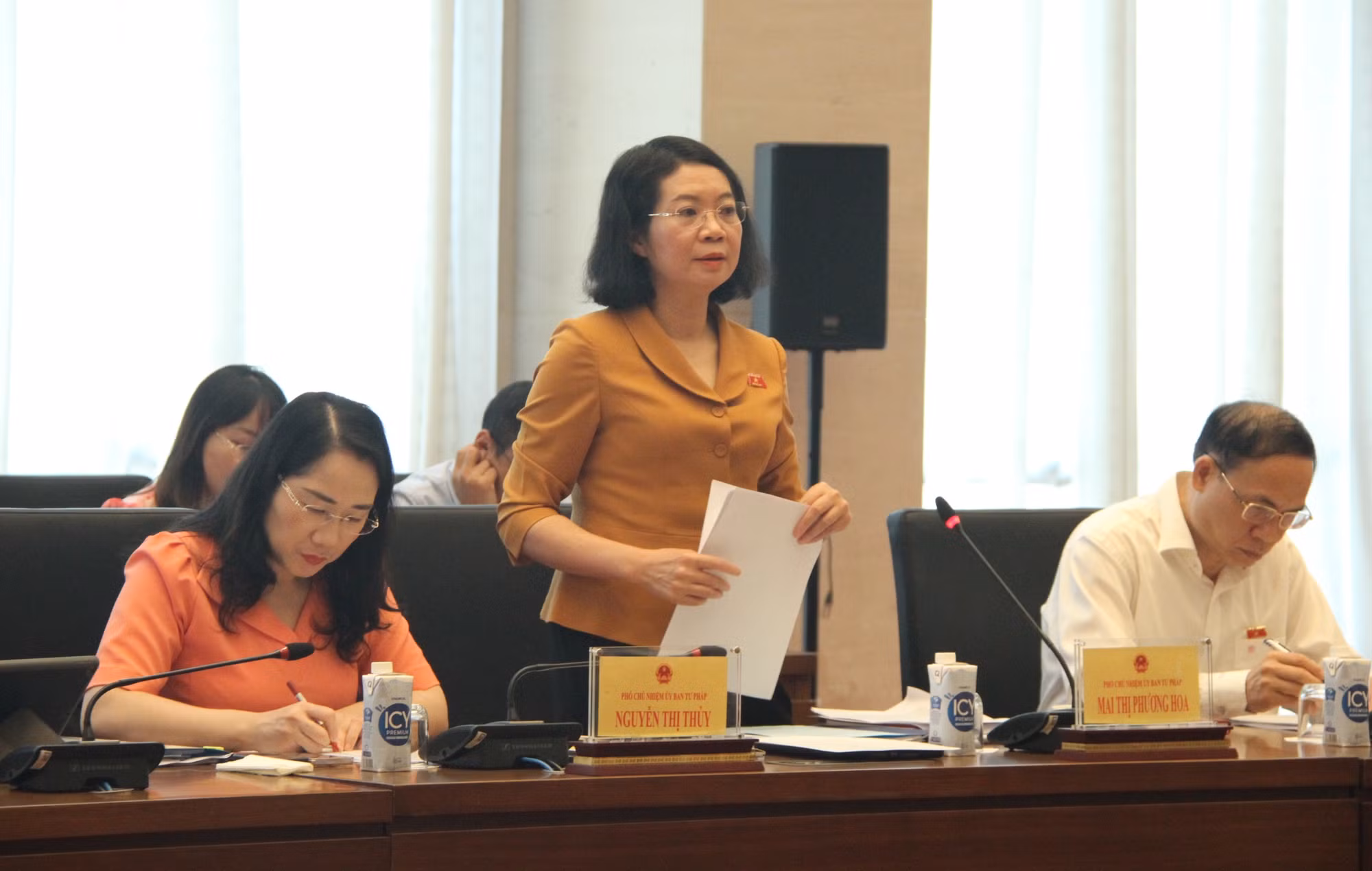 Phó Chủ nhiệm Ủy ban Tư pháp Mai Thị Phương Hoa.