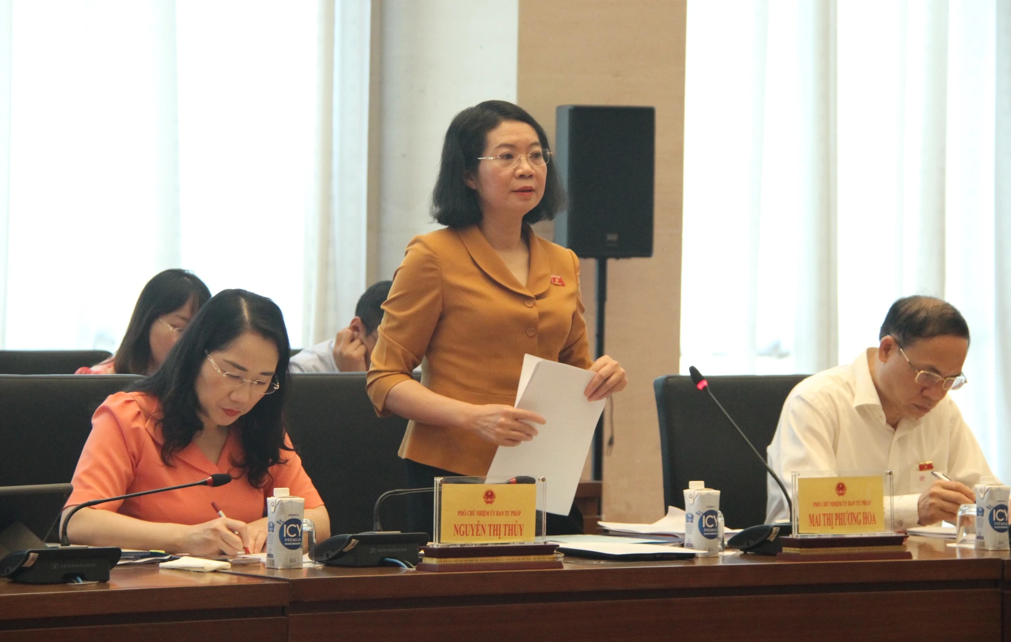 Phó Chủ nhiệm Ủy ban Tư pháp Mai Thị Phương Hoa.