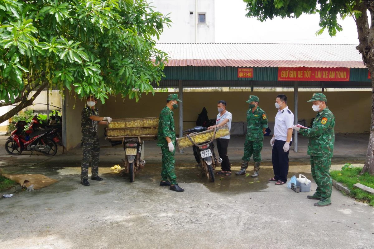 Đồn Biên phòng cửa khẩu Chi Ma, BĐBP Lạng Sơn bắt giữ con giống gia cầm nhập lậu.