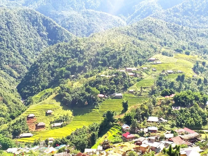 Bản Cát Cát giữa mùa lúa chín.