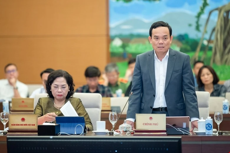 Phó Thủ tướng Trần Lưu Quang phát biểu tại phiên họp