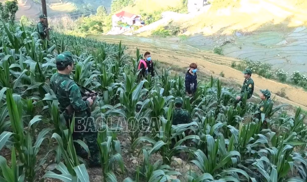 BĐBP ngăn chặn các đối tượng nhập cảnh trái phép qua biên giới.jpg
