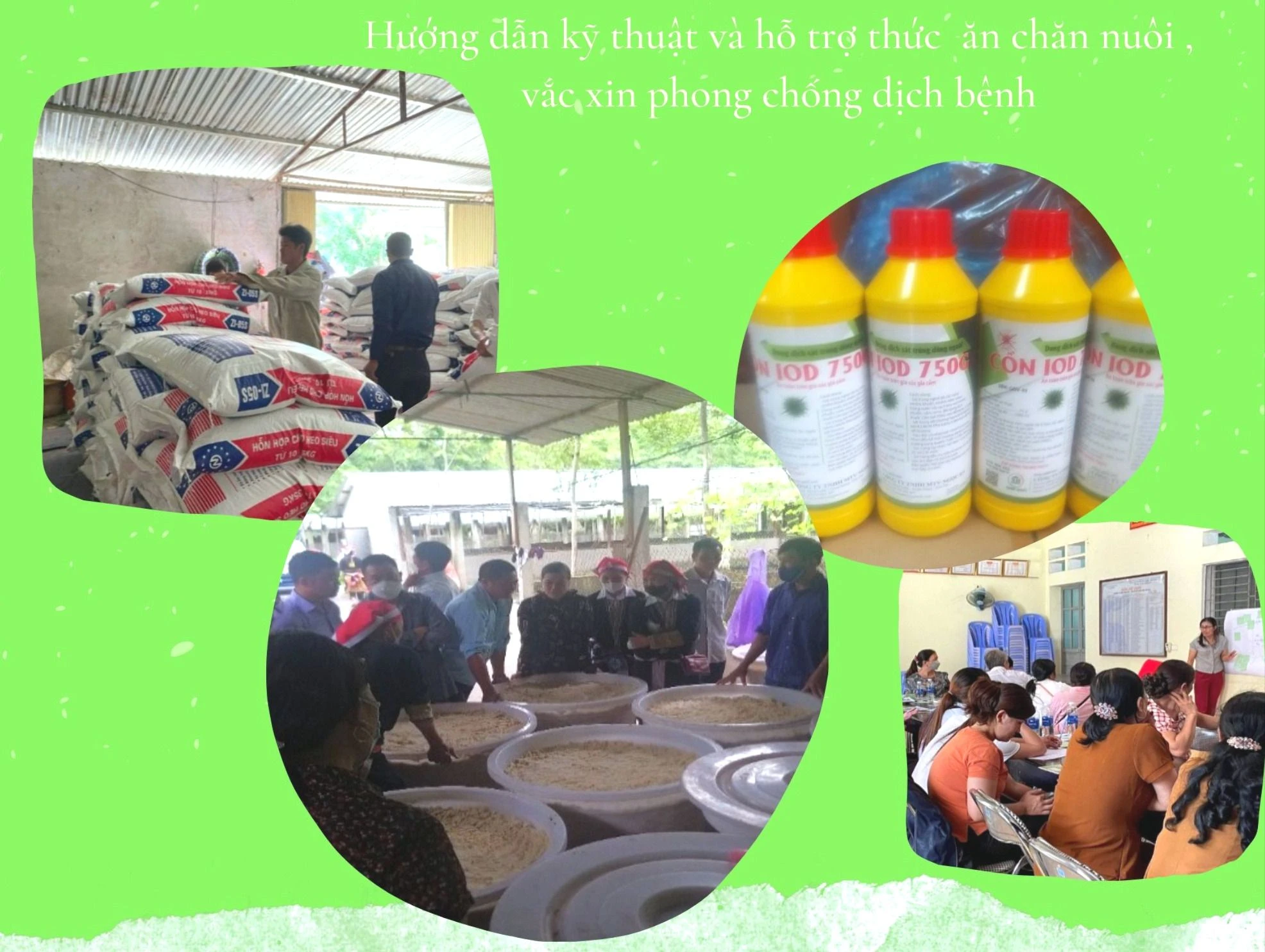 Deep Green Cute Happy Birthday Photo Collage.jpg