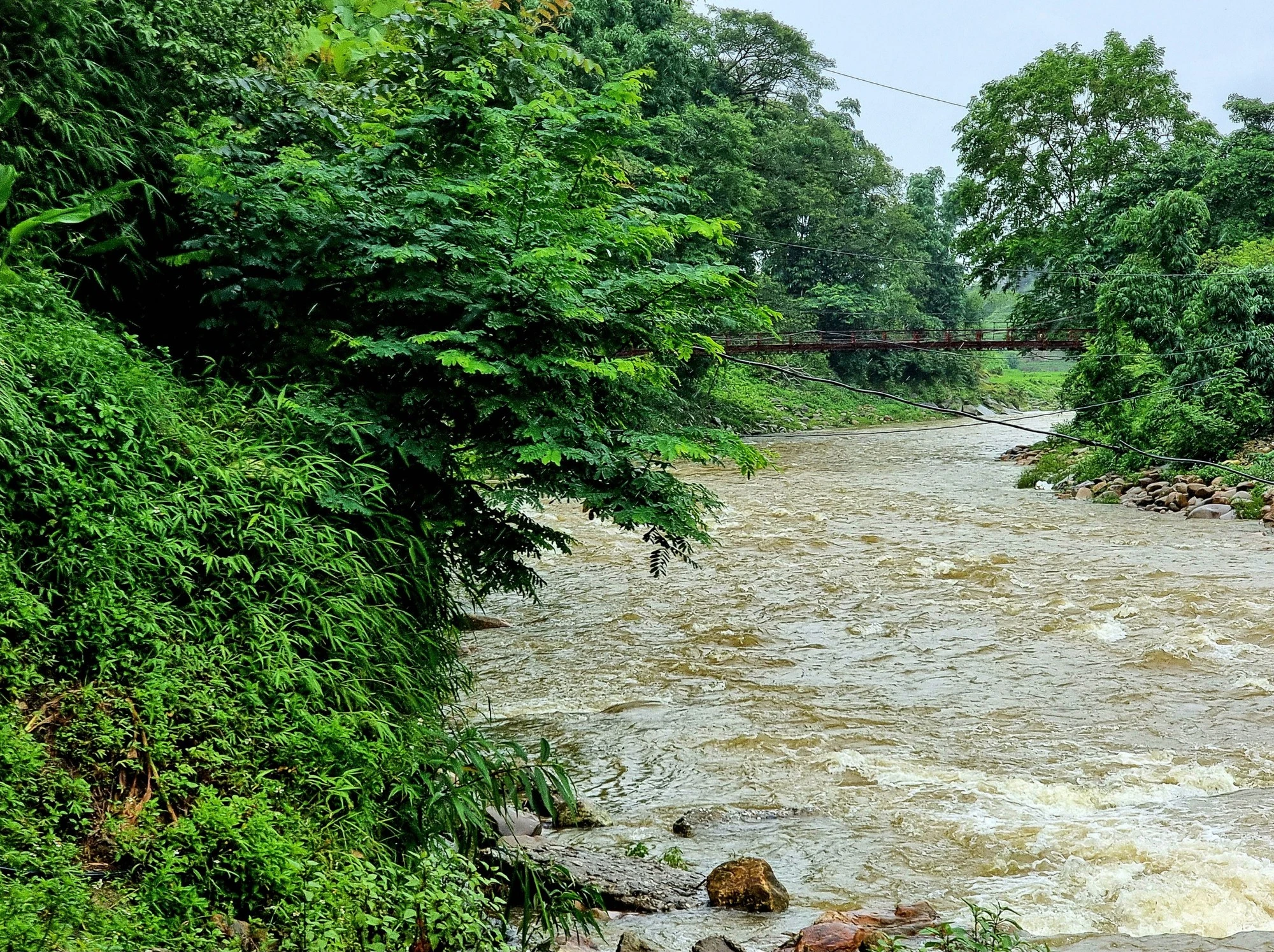 Suối Mường Hoa dường như 'dữ dội' hơn dưới cơn mưa.