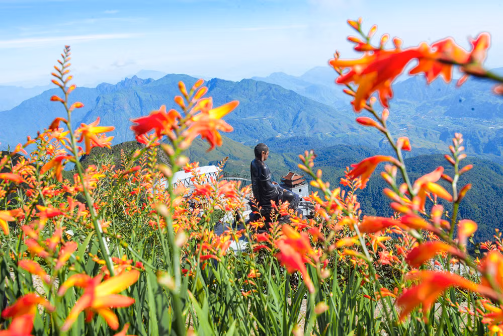 The crocosmia flowers field in Sun World Fansipan Legend.png
