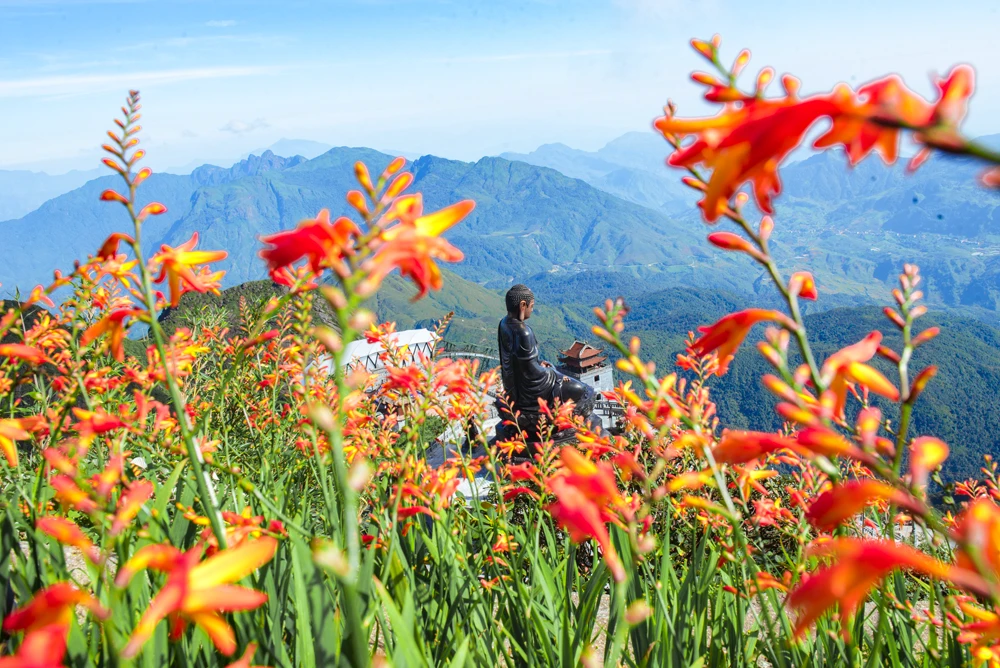 The crocosmia flowers field in Sun World Fansipan Legend.png