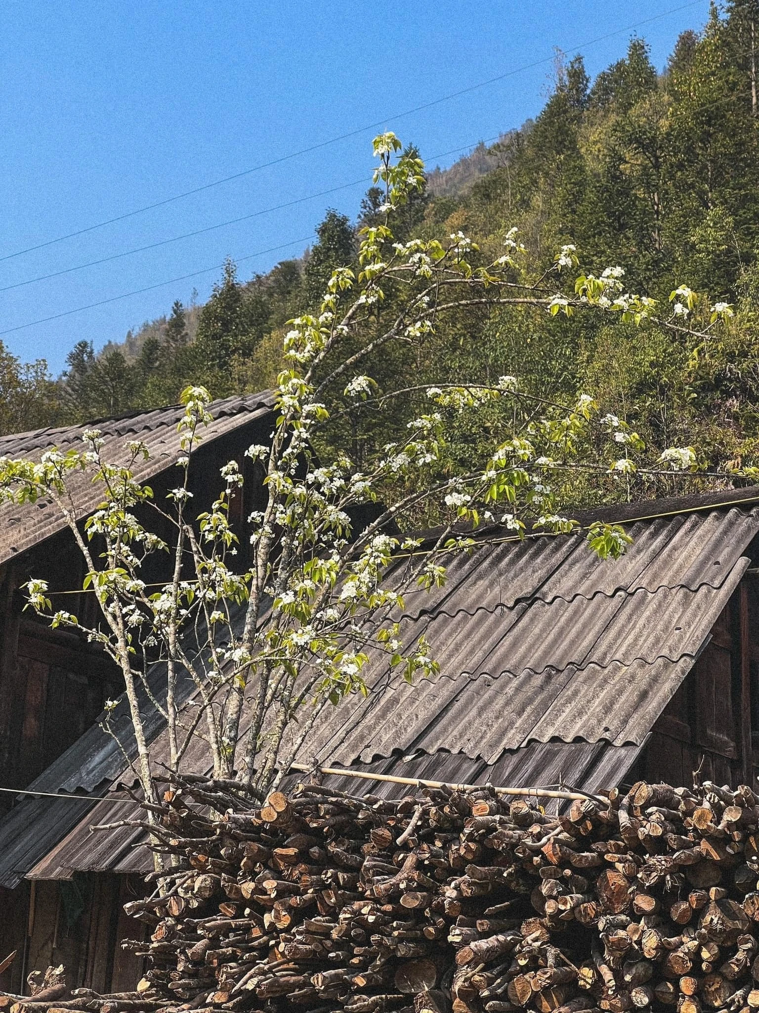 Tìm về 'chốn tiên cảnh' săn mây cực đẹp - 15