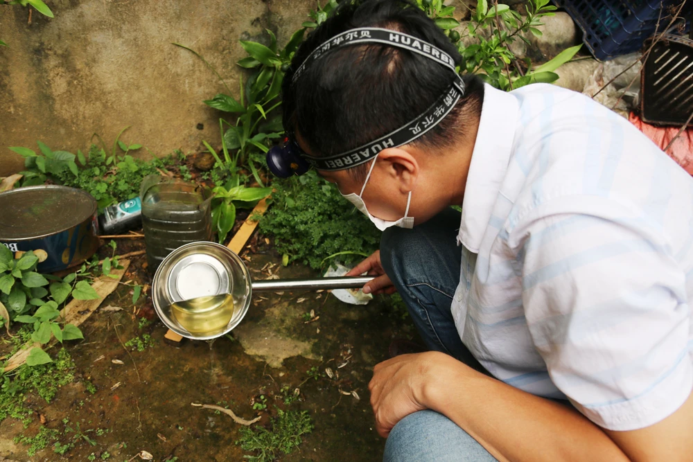 bat lang quang bo gay.JPG