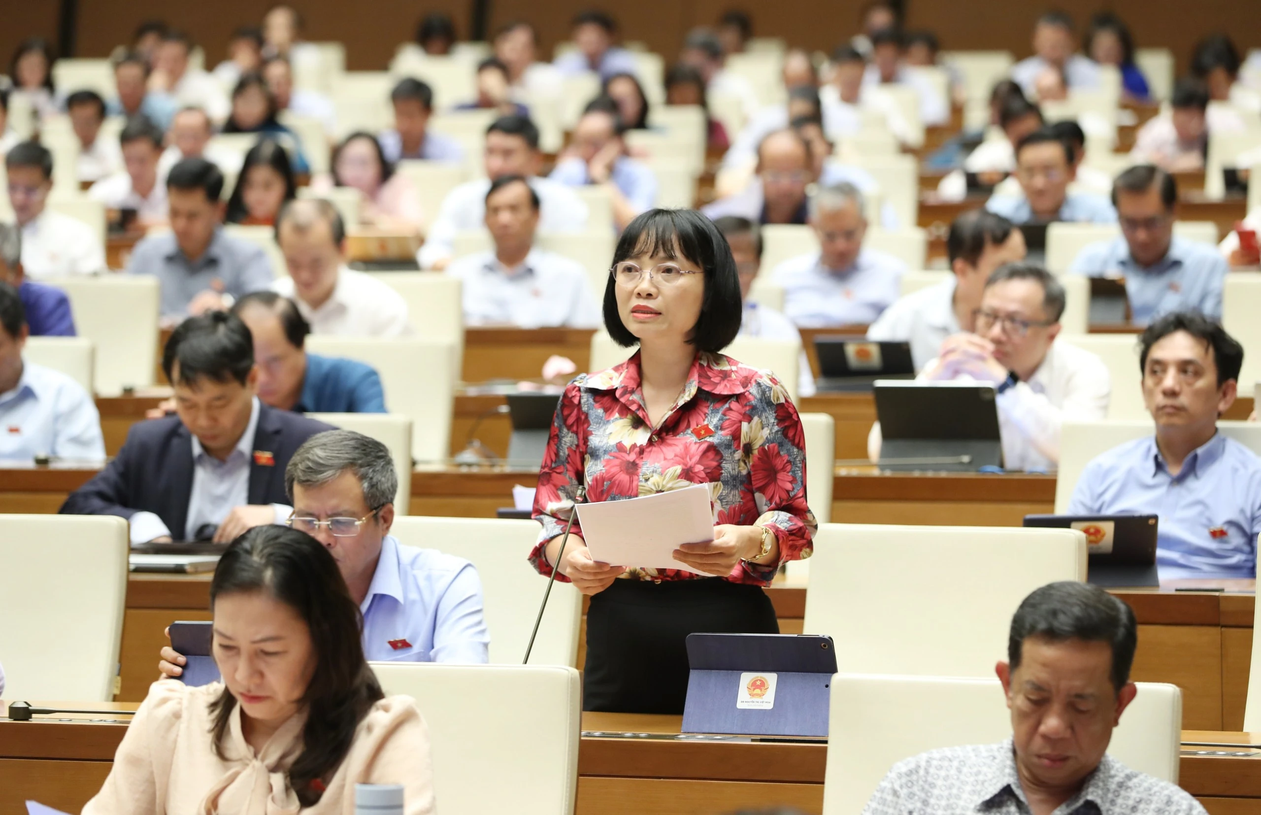 ĐB Nguyễn Thị Việt Nga đồng tình mở rộng phạm vi, đối tượng miễn thuế.