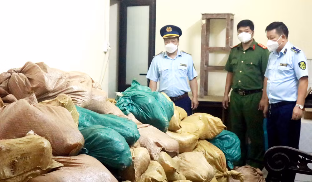 Ảnh 2. Đội QLTT số 2, Cục quản lý thị trường phối hợp cùng Đội điều tra Công an huyện Bát Xát thực hiện khám Lô hàng gồm 87 bao xác rắn bên trong chứa 2030 kg chân gà và 1015 kg thịt bò..jpg