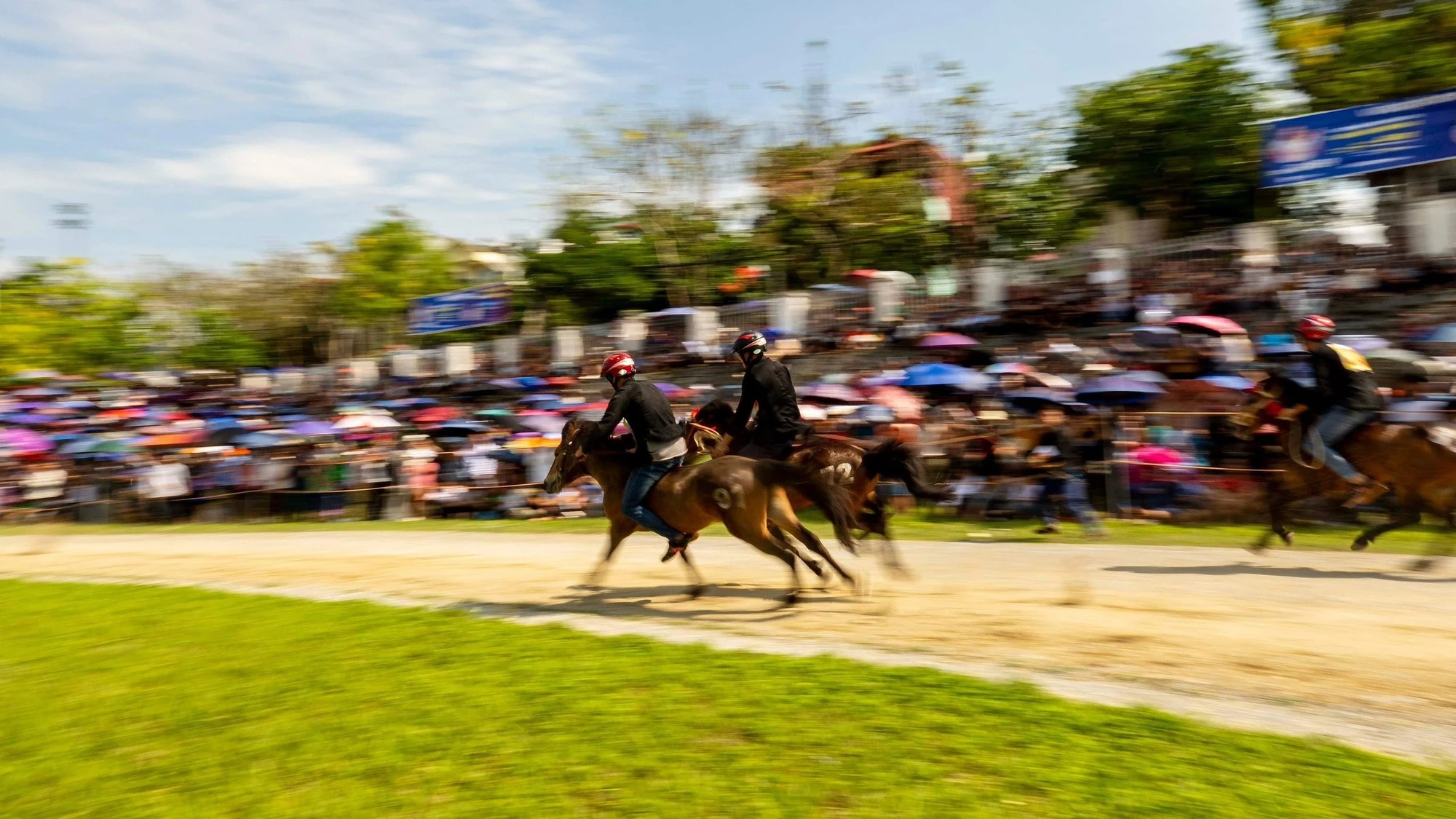 Từng chú ngựa sẽ được đánh số để thi đấu, sau vòng loại đội nào giành chiến thắng sẽ tiếp tục vào vòng chung kết cuối cùng.