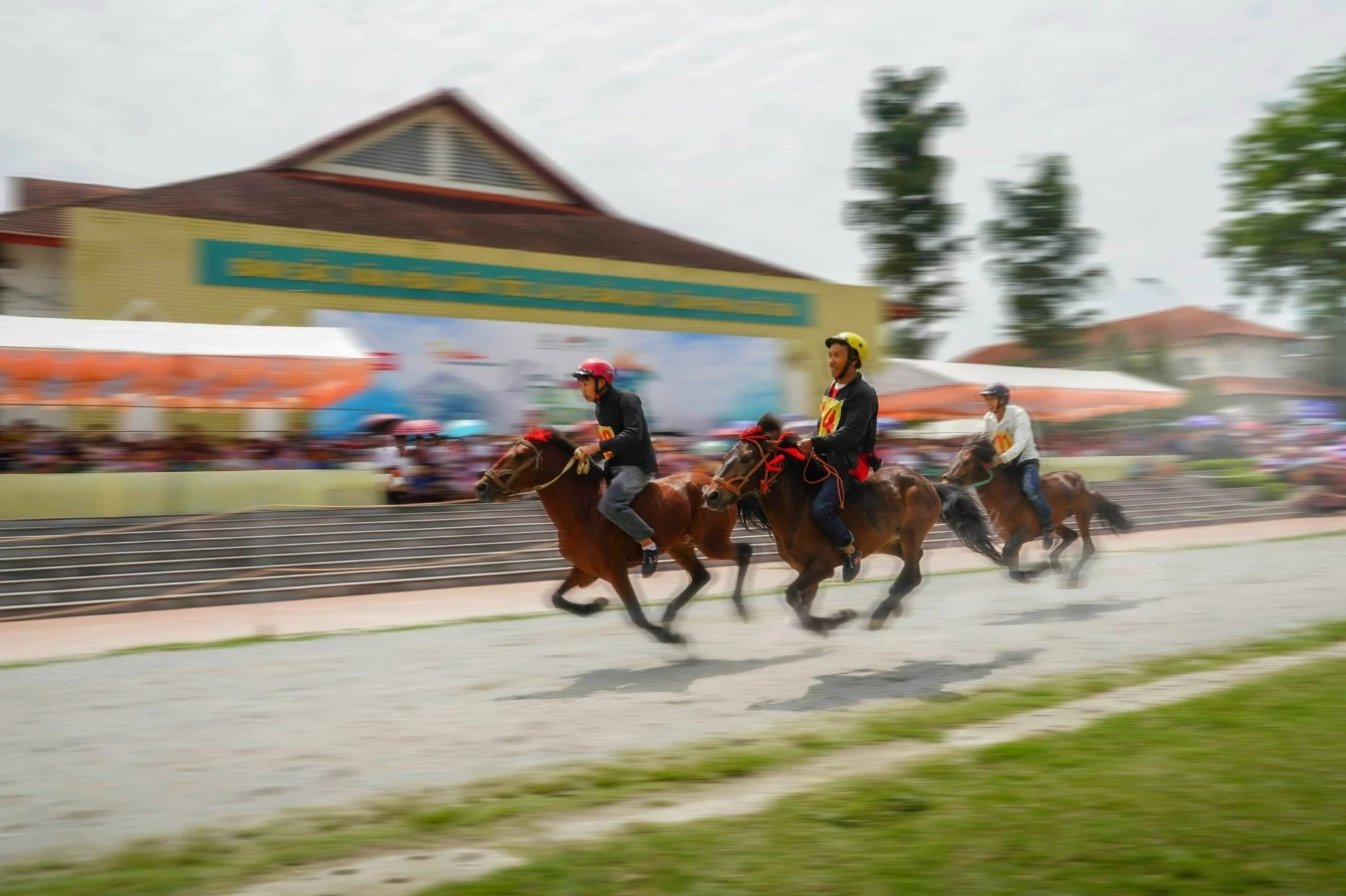 Những chú tuấn mã trên đường đua kịch tính, sôi động mang lại hồi hộp, hứng khởi cho người xem.