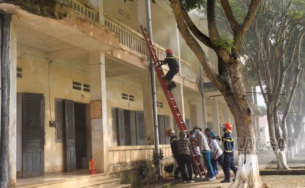 Sequence 01.00_00_11_29.Still019.jpg