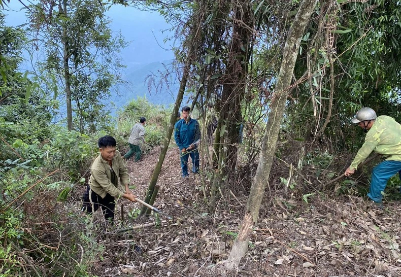 Lực lượng chức năng phát băng, không để cháy rừng lan rộng.