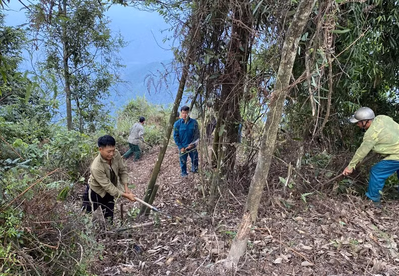 Lực lượng chức năng phát băng, không để cháy rừng lan rộng.