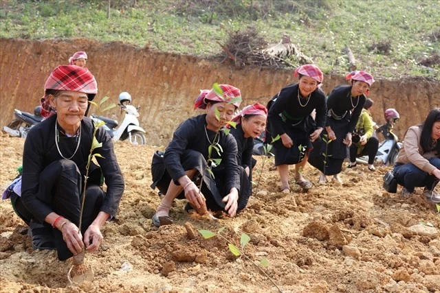 Nhiều địa phương đã xóa bỏ được tư tưởng trông chờ, ỷ lại của người nghèo.