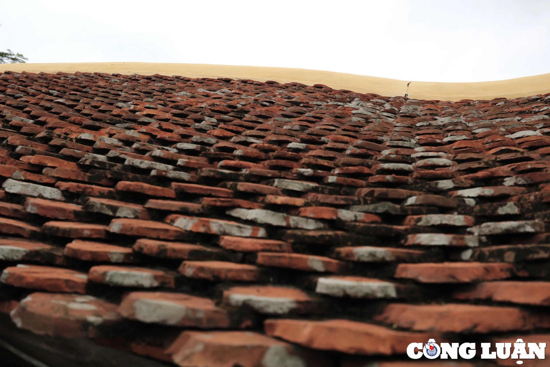 Ngói dùng để lợp là những viên ngói nam, được lợp rất khéo không bị xô và hở.
