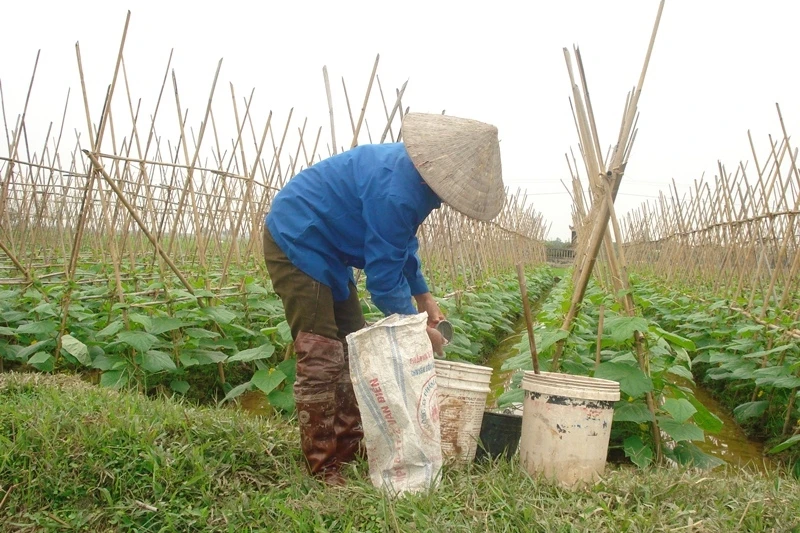 Sản xuất nông nghiệp đang đối mặt với lượng rác thải nhựa tiêu thụ hàng năm tại các địa phương là khá lớn.