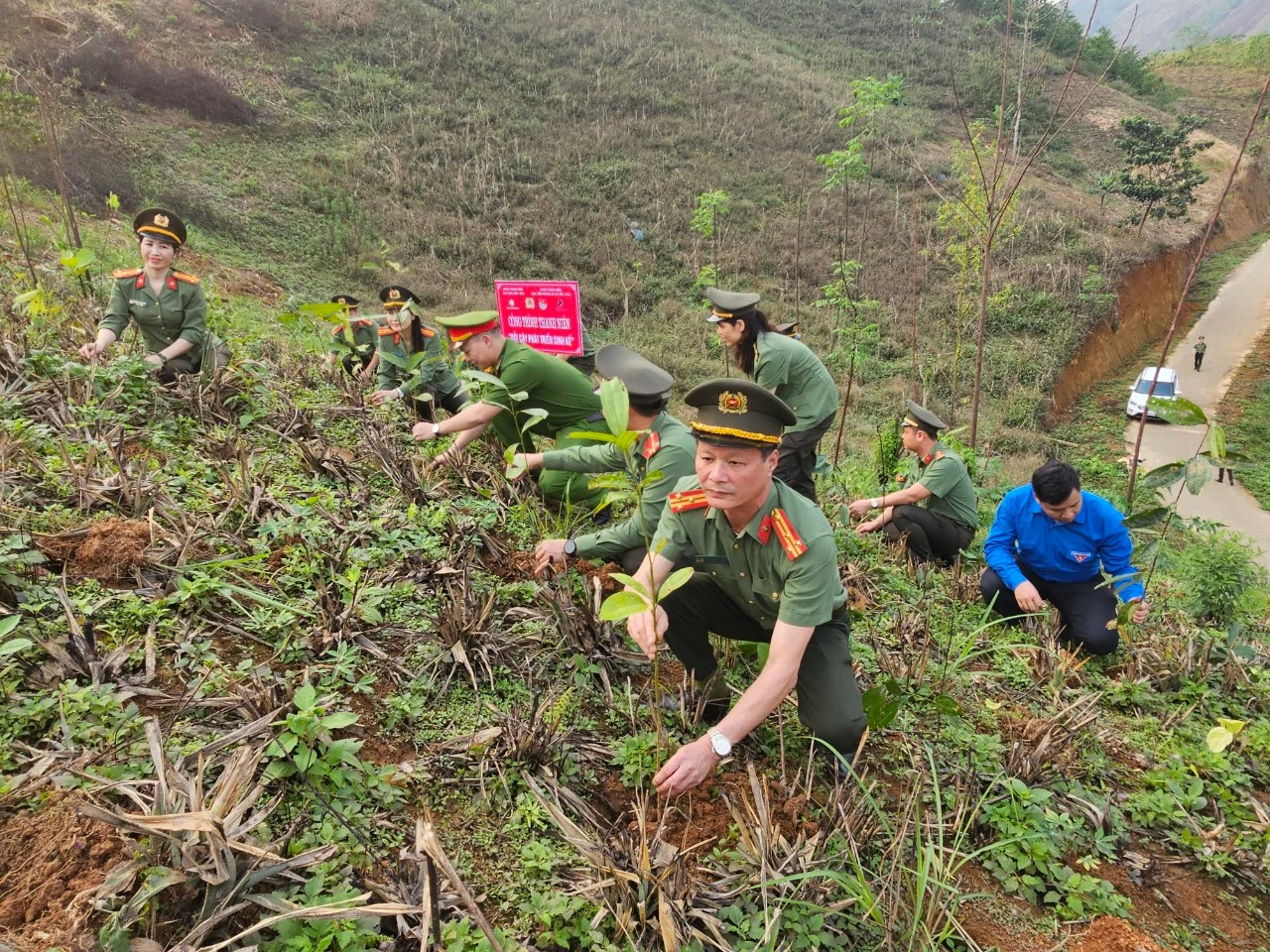 Đoàn công tác trồng cây trong mô hình Đồi cây sinh kế.jpg